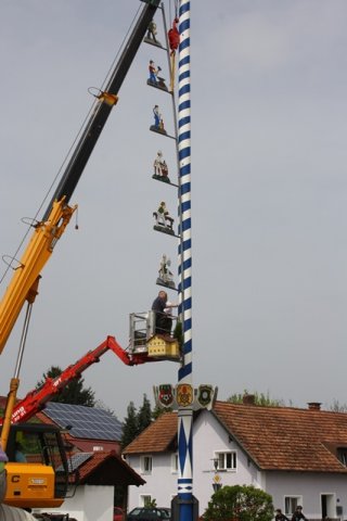 Maibaum 2013